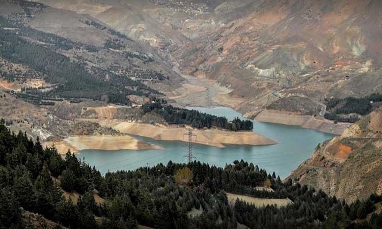 بوستان جنگلی تلو